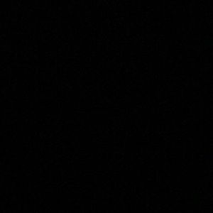 Meet your Posher, Dani